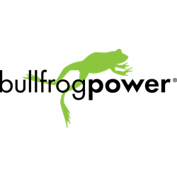 BullFrog Logo