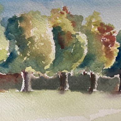 watercolour image of trees