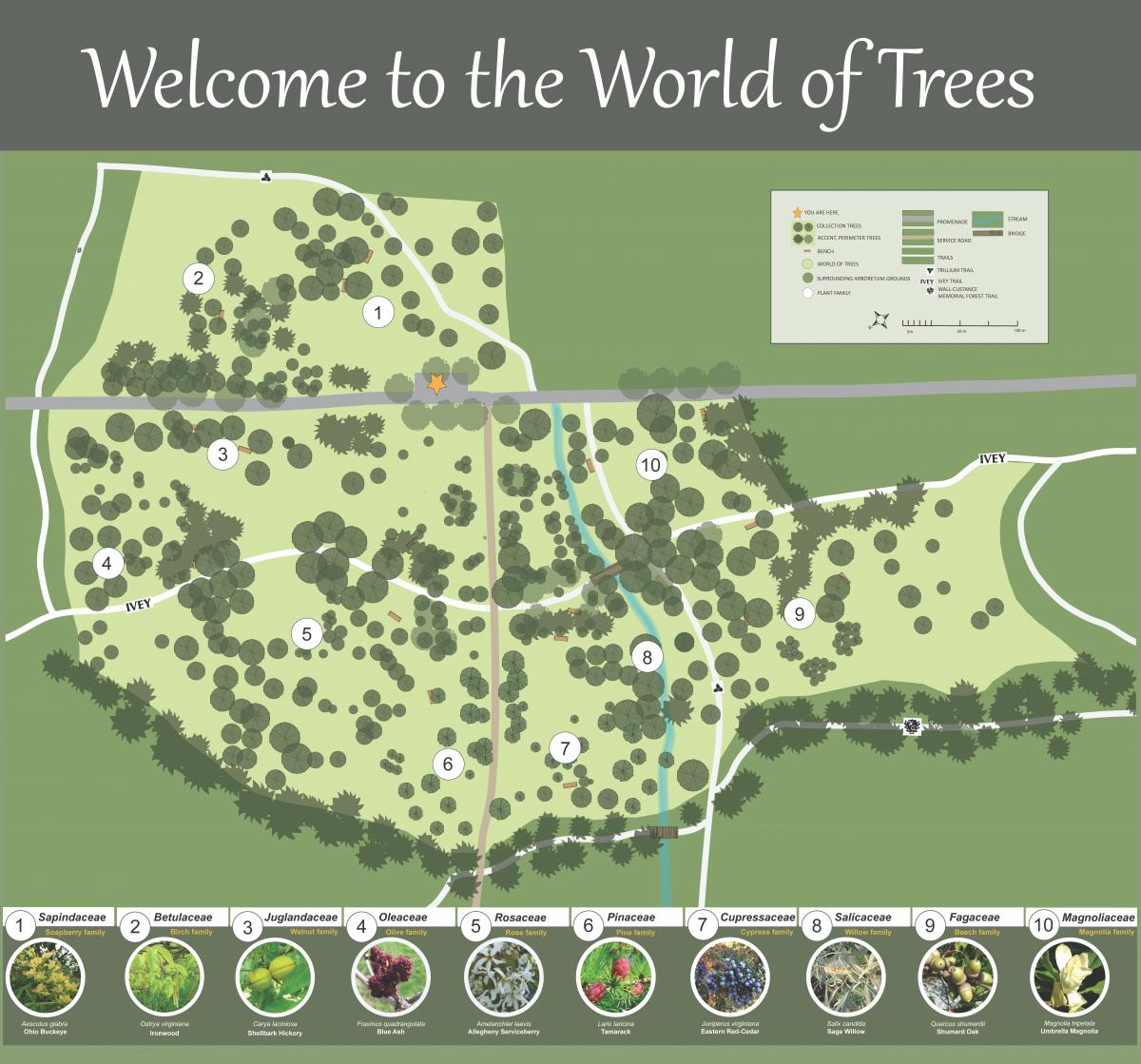 map of the world of trees collection at the Arboretum